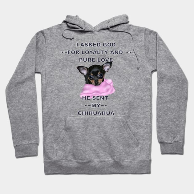 Adorable Chihuahua Puppy Hoodie by painteddreamsdesigns